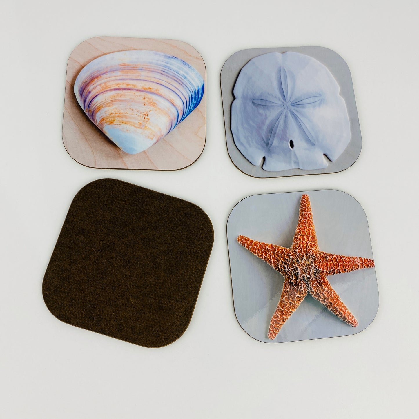 Coaster Set - Shells