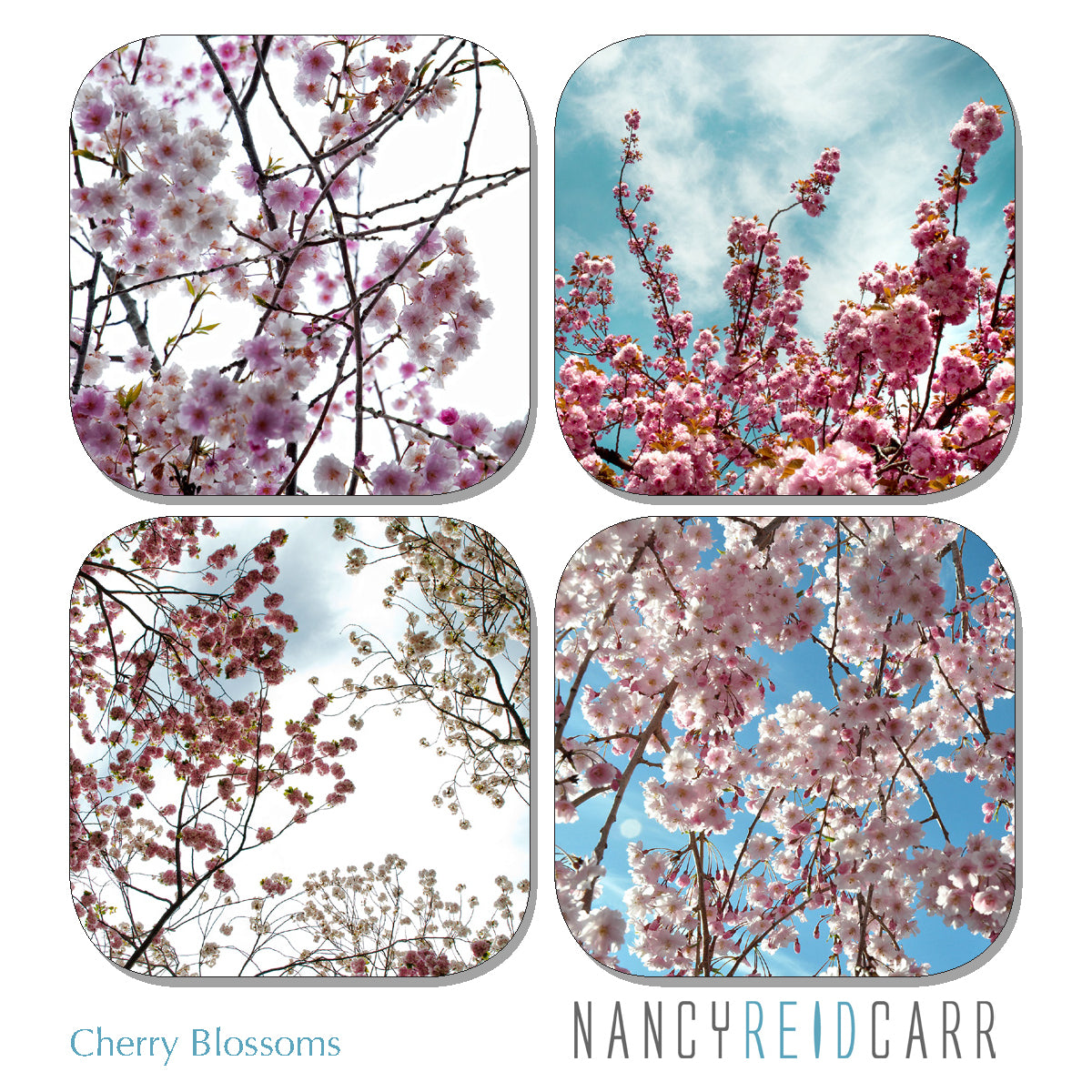 Coaster Set - Cherry Blossoms
