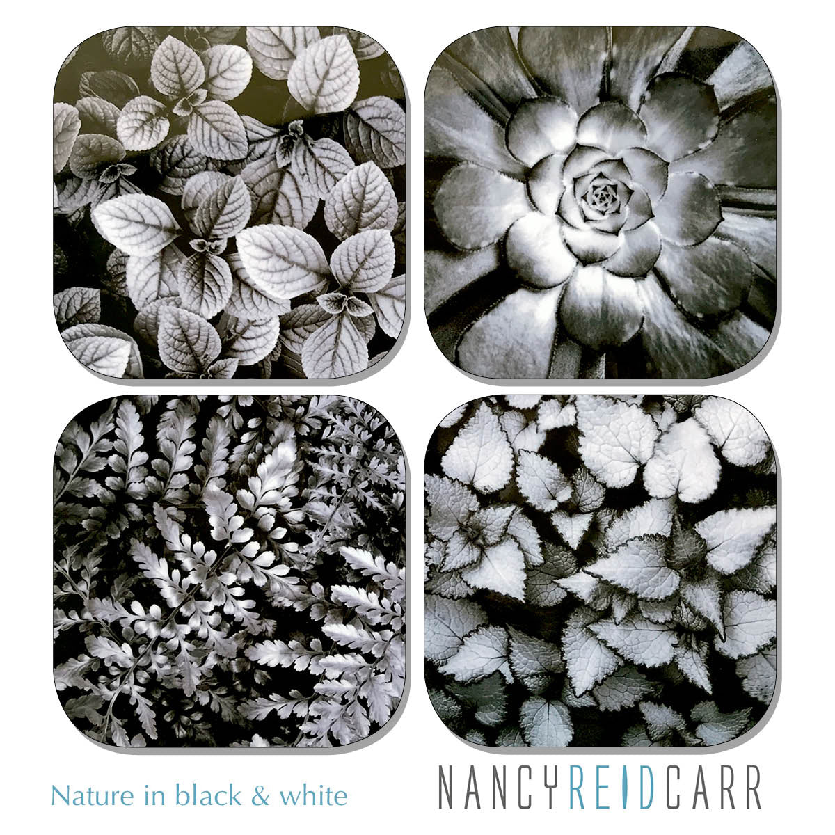 Coaster Set - Nature in Black & White