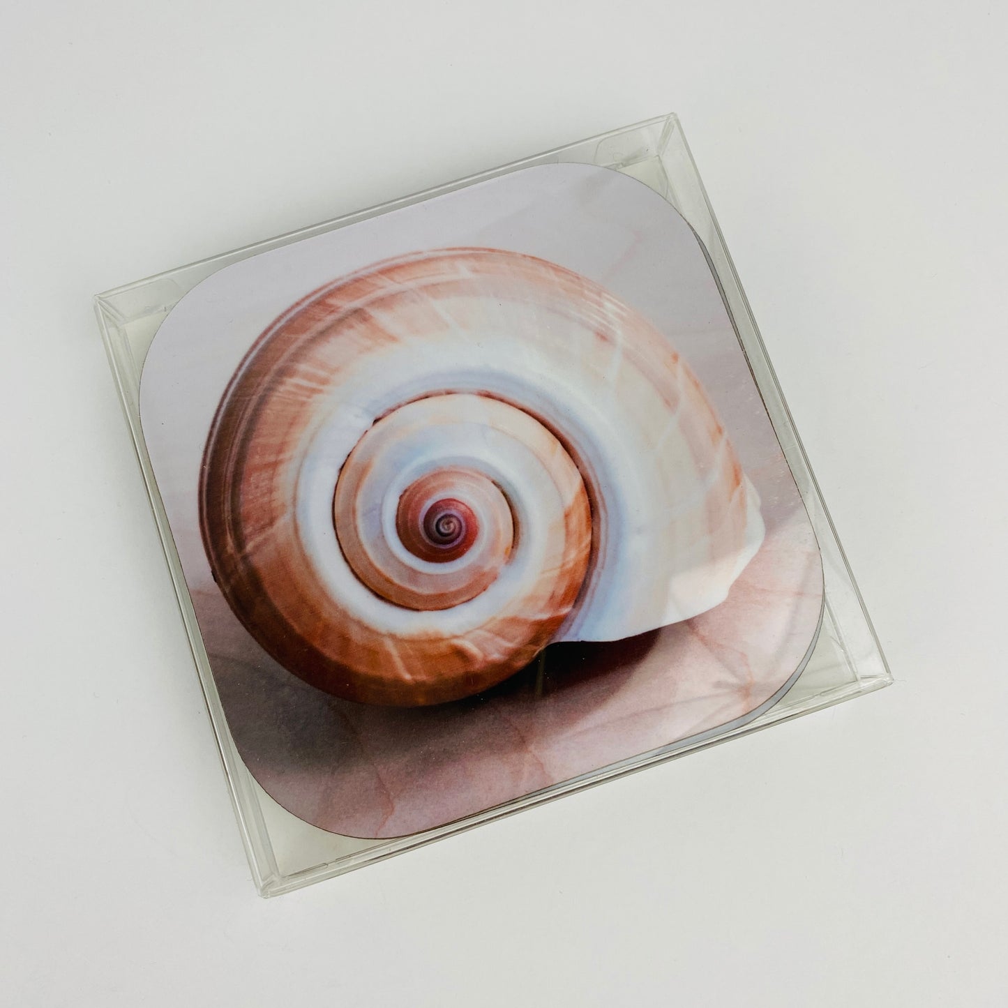 Coaster Set - Shells