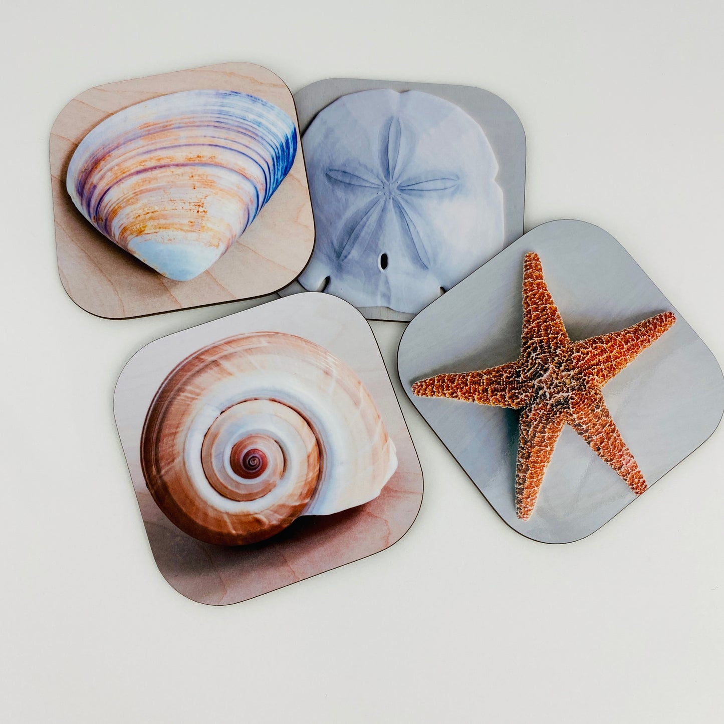 Coaster Set - Shells