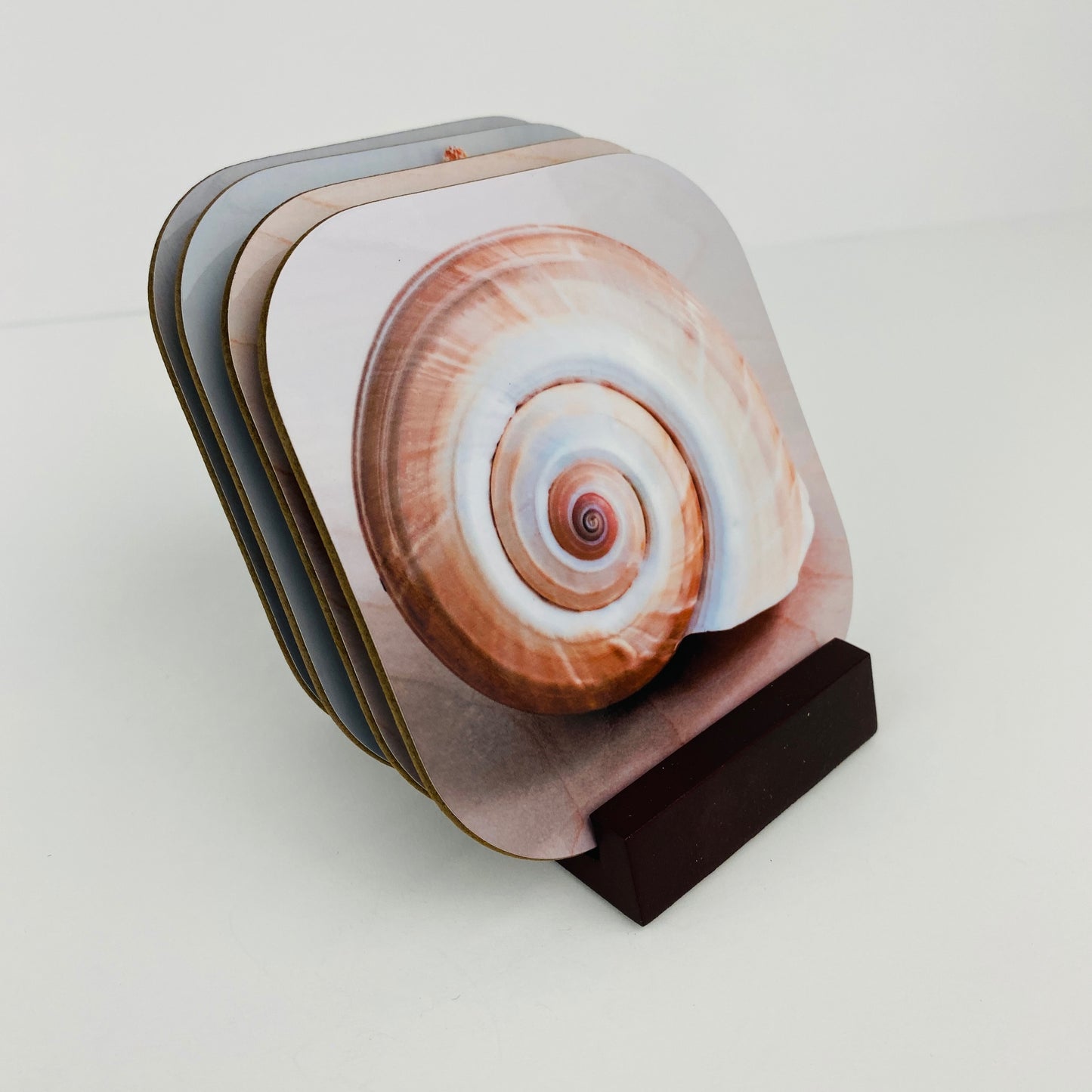 Coaster Set - Shells