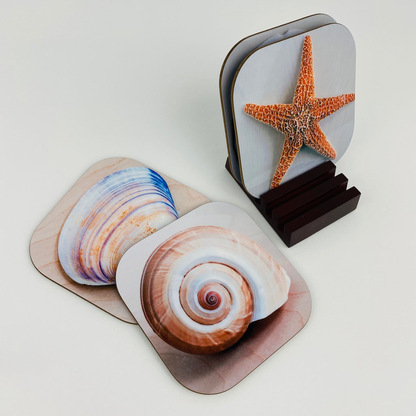 Coaster Set - Shells