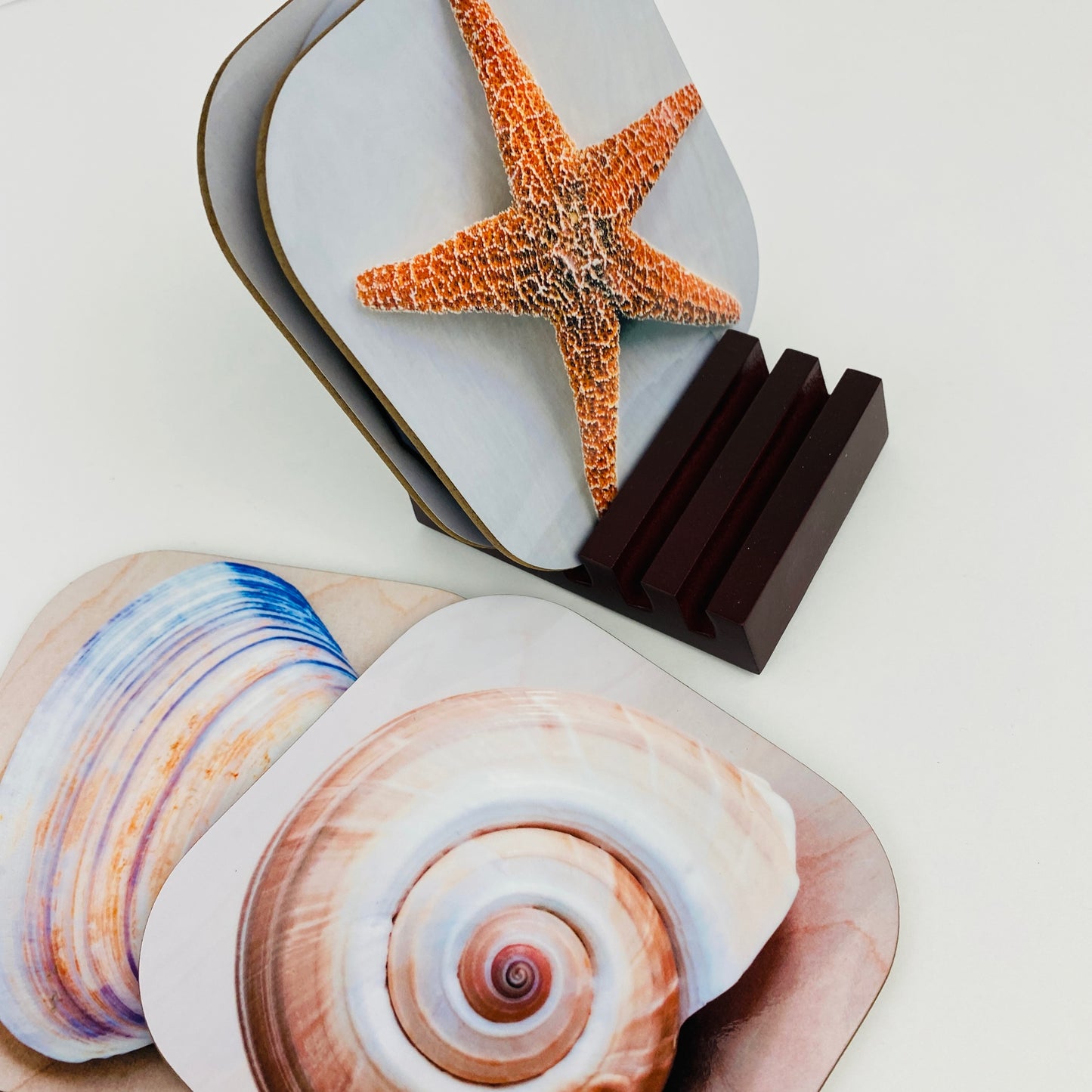 Coaster Set - Shells