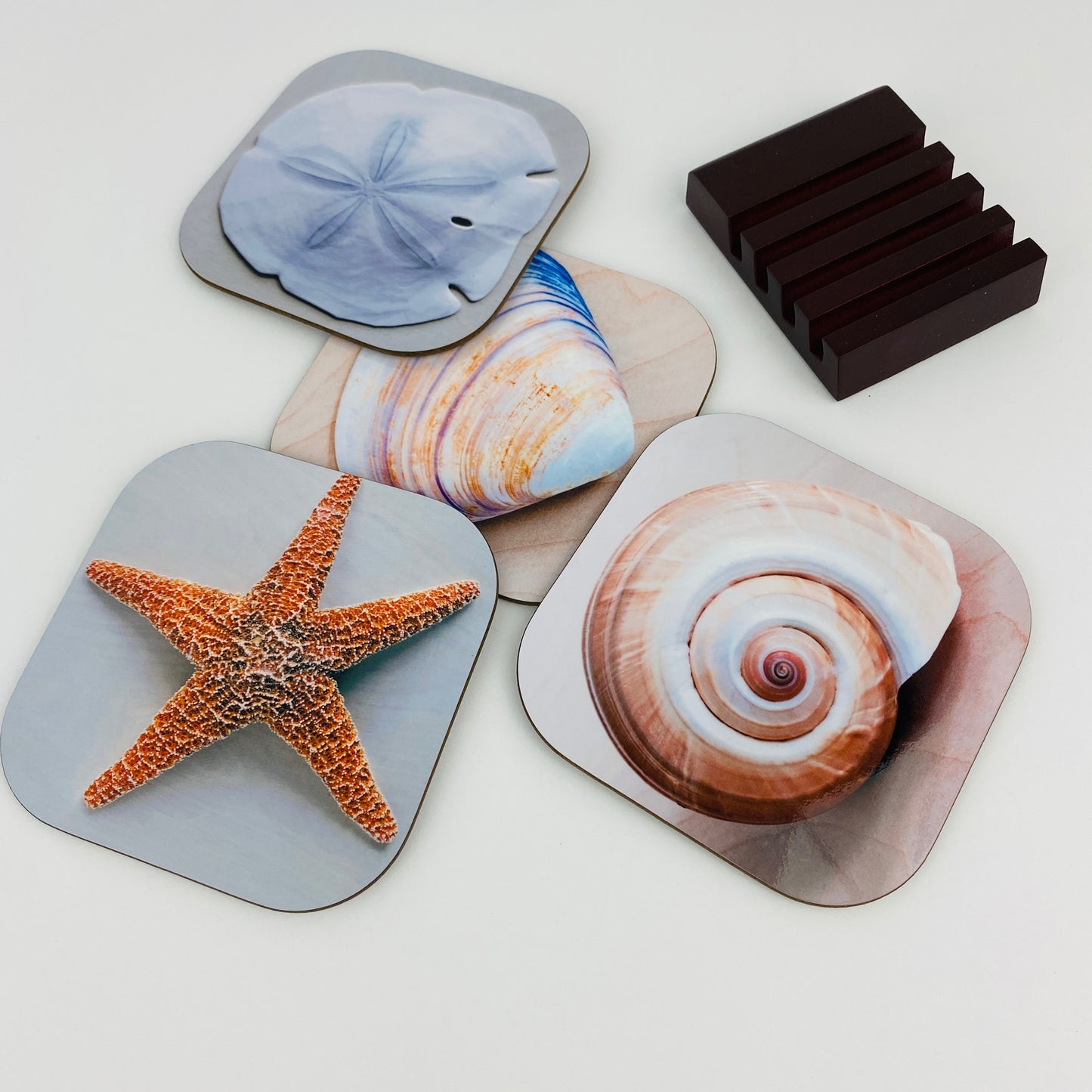 Coaster Set - Shells