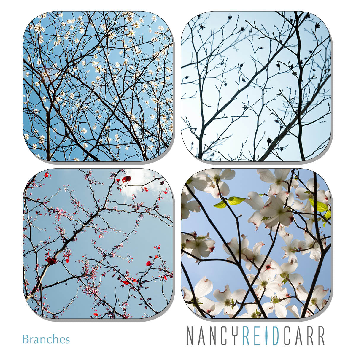 Coaster Set - Branches