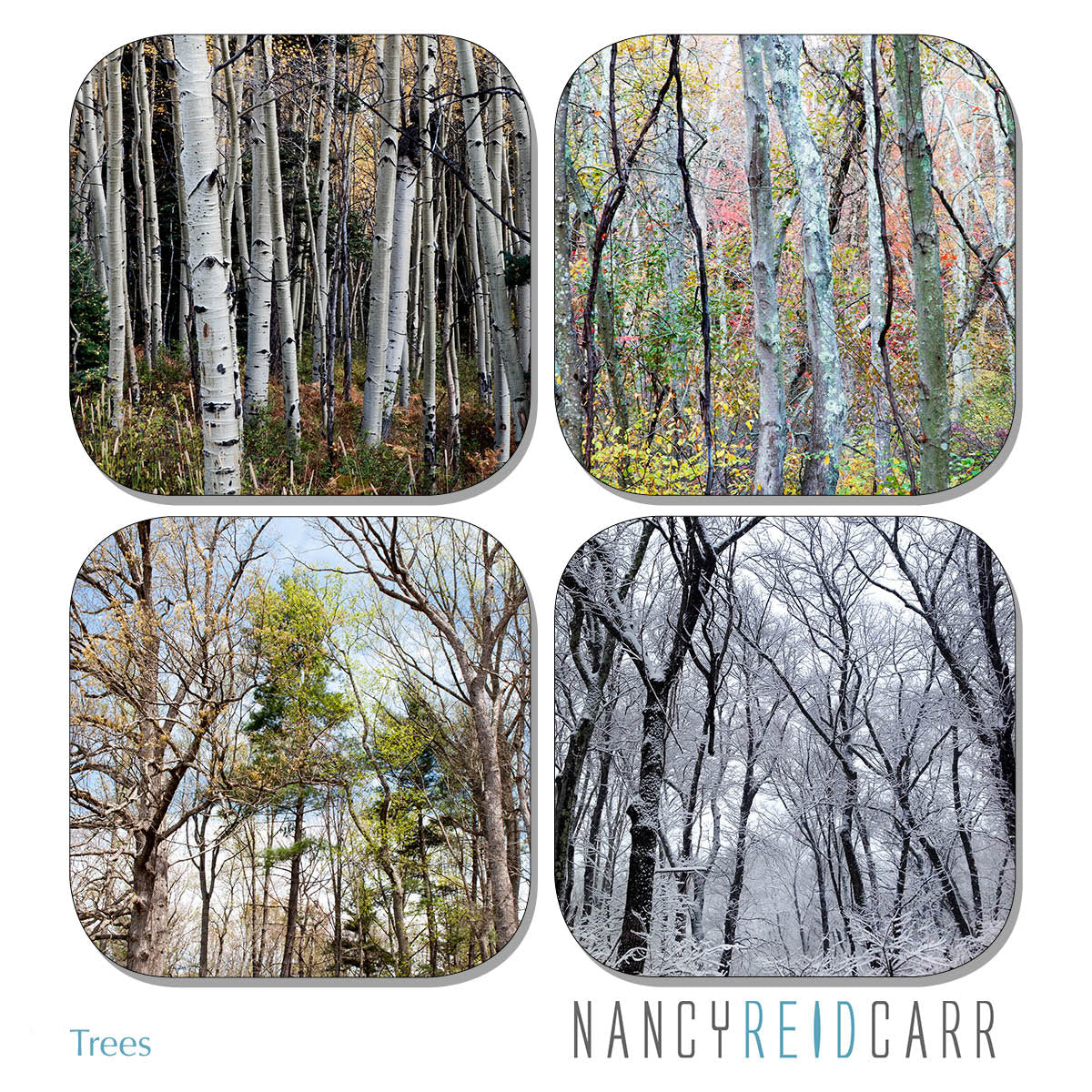 Coaster Set - Trees