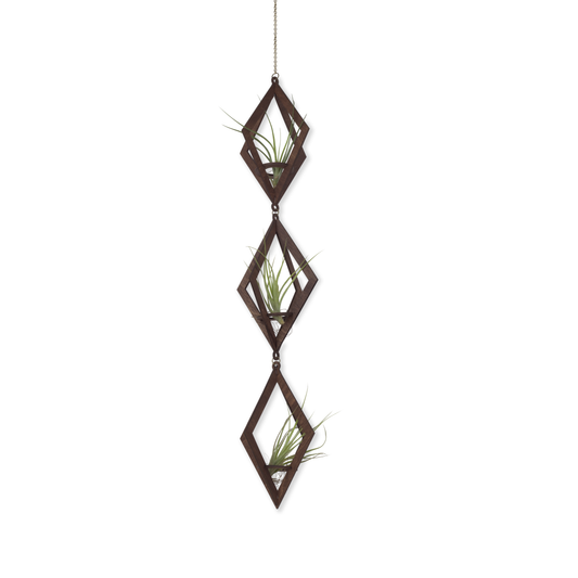 Air Plant Hanger Diamond Walnut TRIO