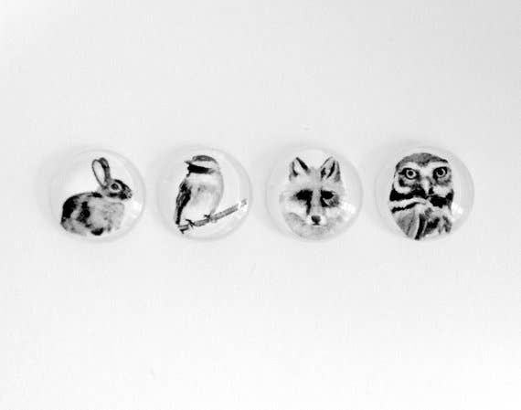 Magnet - Fauna - 3/4" round -set of 4