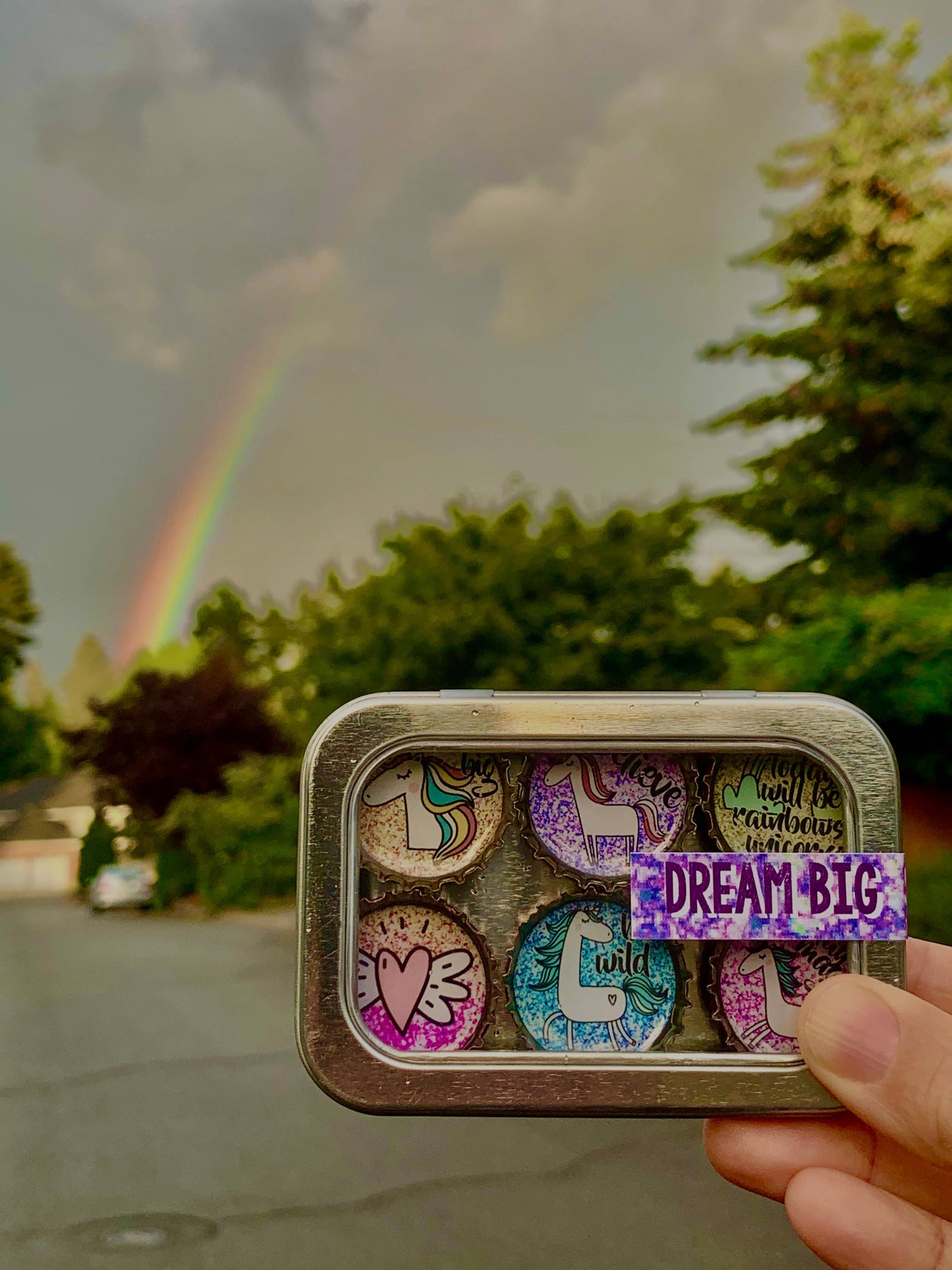 Unicorn Dreams Magnets - Pride Month Celebration